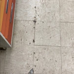 Meet your Posher, Frank